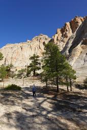 Hong in the garden [mon sep 1 09:00:15 mdt 2025]